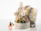 M.micallef coffret baby collection